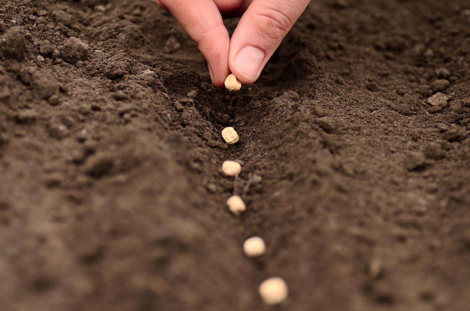 Seed-funding projects