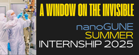 Summer Internship 2025 