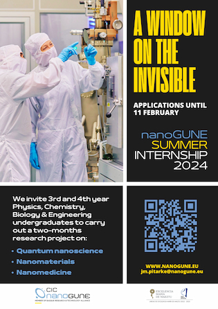 Summer Internship poster 2024