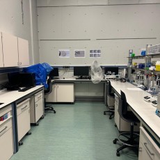 Lab