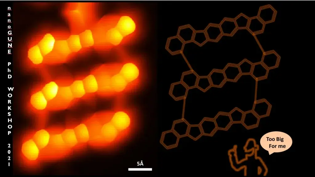 Nano-Ladder made of extended diindeno-naphthalene