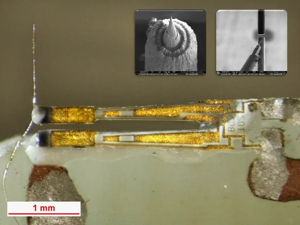 A Tunning Forkfor STM/AFM measurements