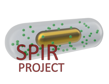 SPIR - MSCA - Diogo Vaz - nanoGUNE