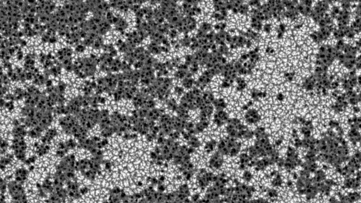 Surface composition analysis